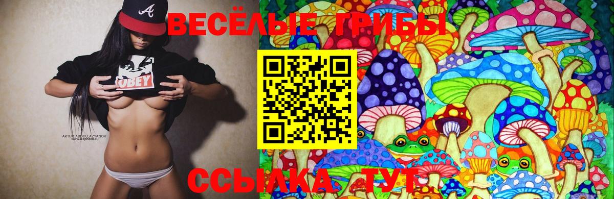 магазин продажи наркотиков  Галлюциногенные грибы GOLDEN TEACHER  Вход с VPN  Подольск  Псилоцибиновые грибы мицелий 