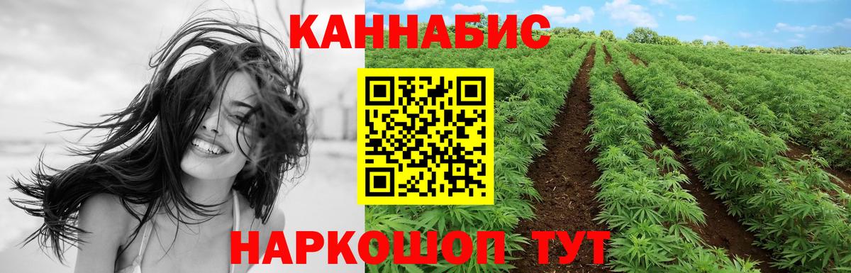 Бошки марихуана LSD WEED  Вход с VPN  Марихуана Ganja  Канабис Amnesia  Подольск 